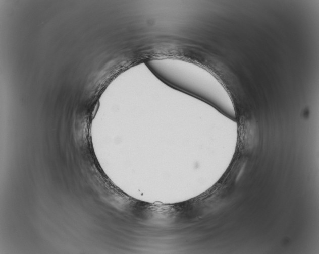 X0000114660333200912011141