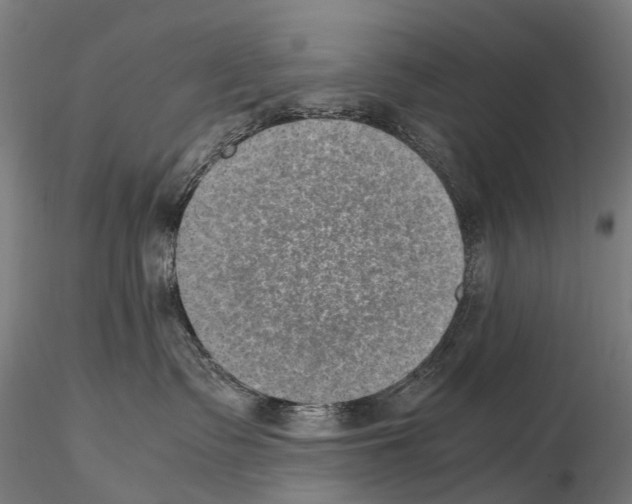 X0000114660335200912011141