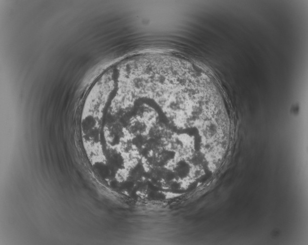 X0000114660337200912011140