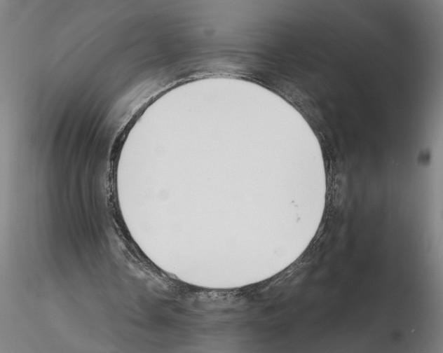 X0000114660338200912011140