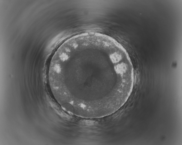 X0000114660339200912011140