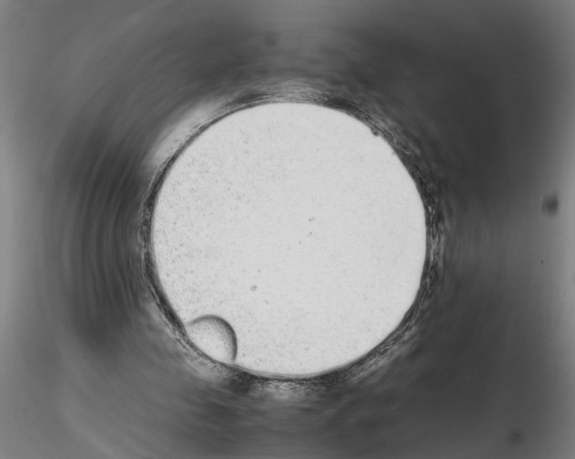 X0000114660341200912011140