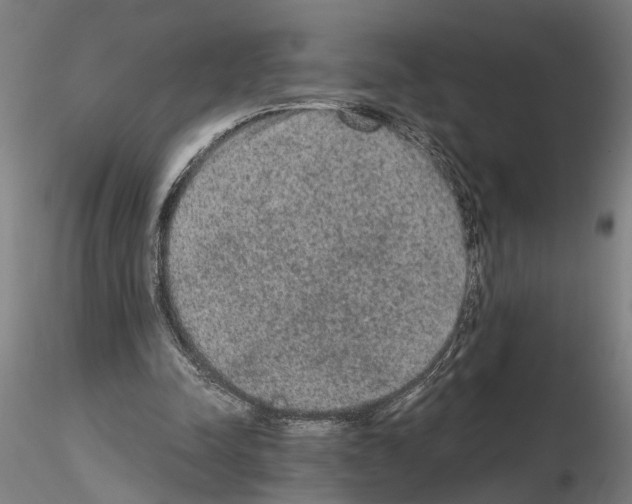 X0000114660342200912011140