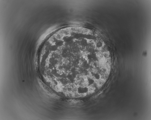 X0000114660343200912011140