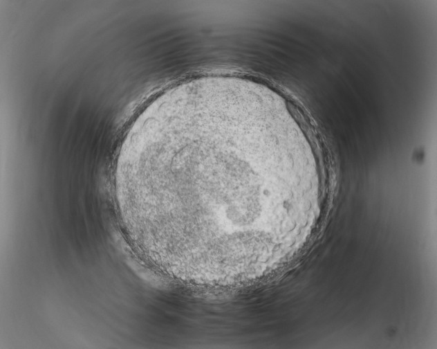 X0000114660345200912011140