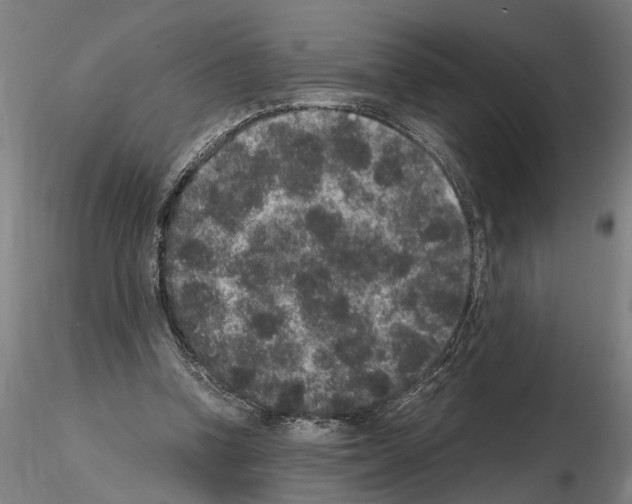 X0000114660346200912011140