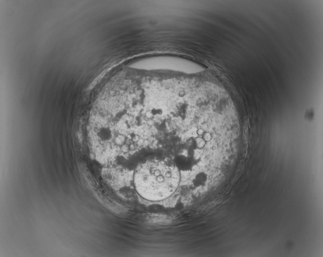 X0000114660347200912011140