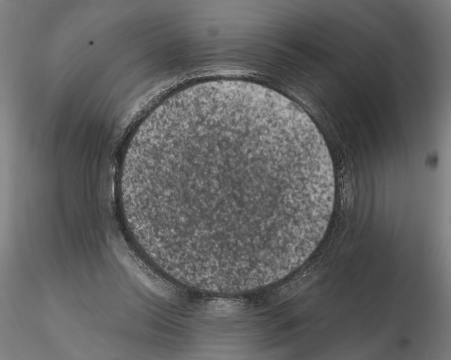 X0000114660350200912011140