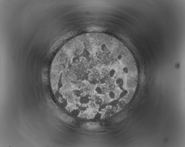 X0000114660353200912011140