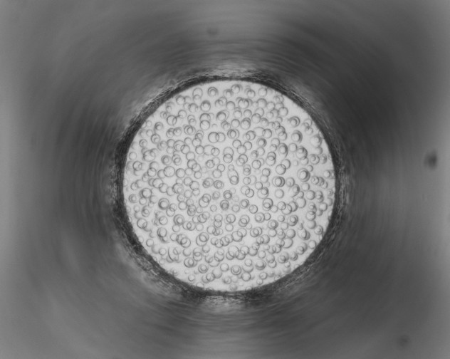 X0000114660354200912011140