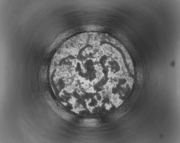 X0000114660357200912011140