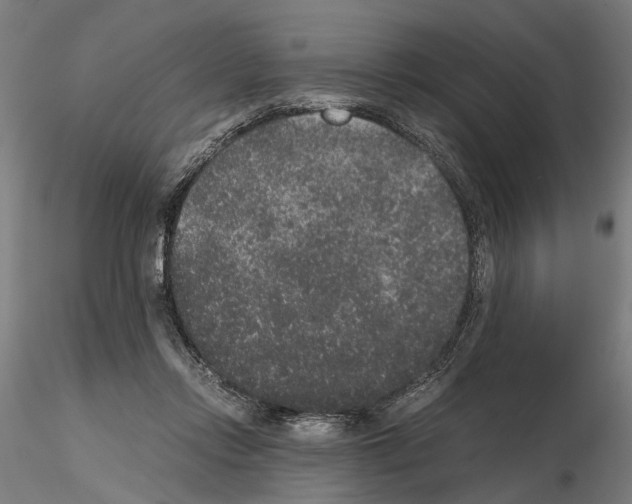 X0000114660358200912011140