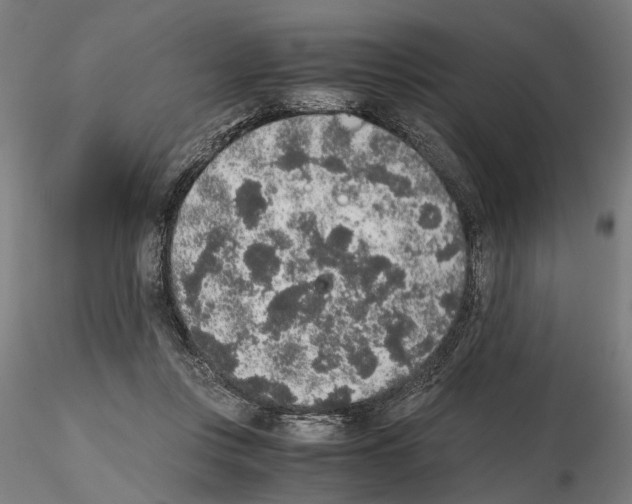 X0000114660359200912011140