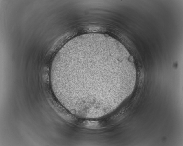 X0000114660361200912011141