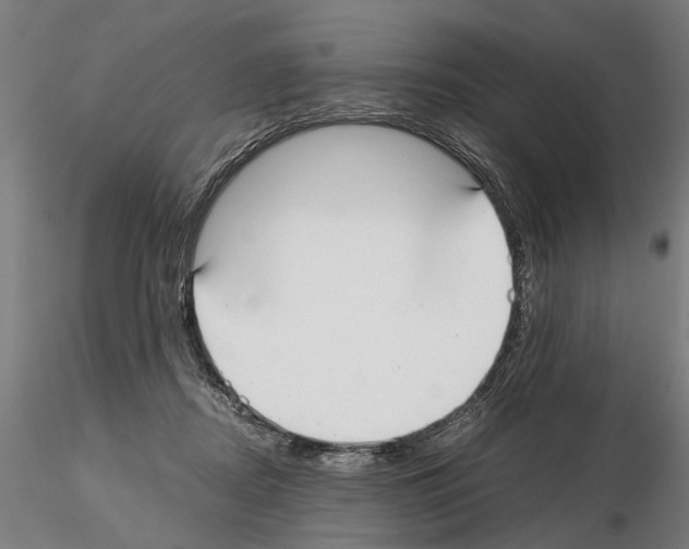 X0000114660362200912011141