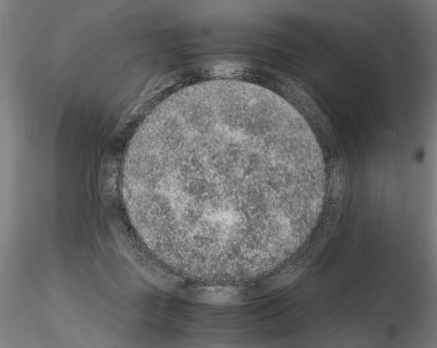 X0000114660363200912011141