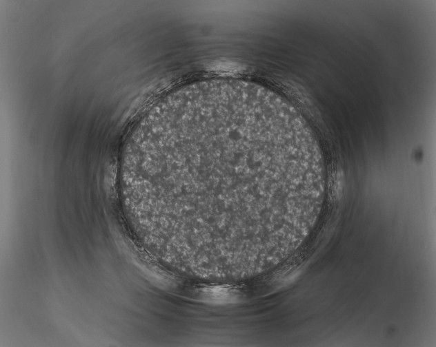 X0000114660365200912011141