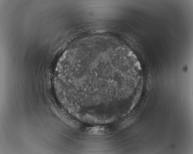 X0000114660366200912011141