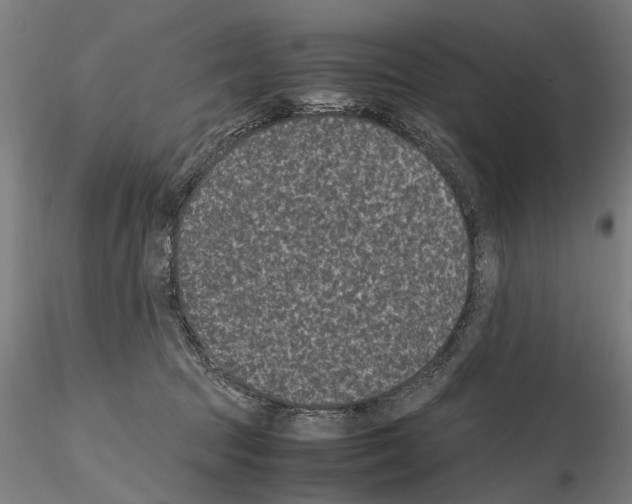 X0000114660369200912011141