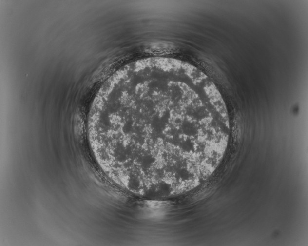 X0000114660371200912011141