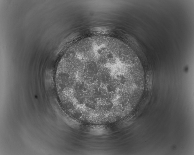 X0000114660377200912011141