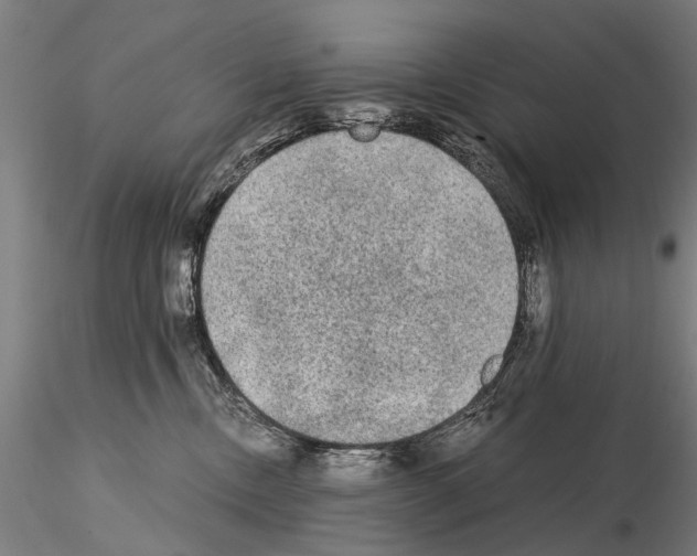 X0000114660378200912011141