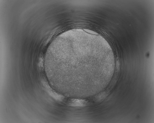 X0000114660379200912011141