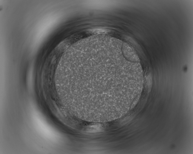 X0000114660381200912011141