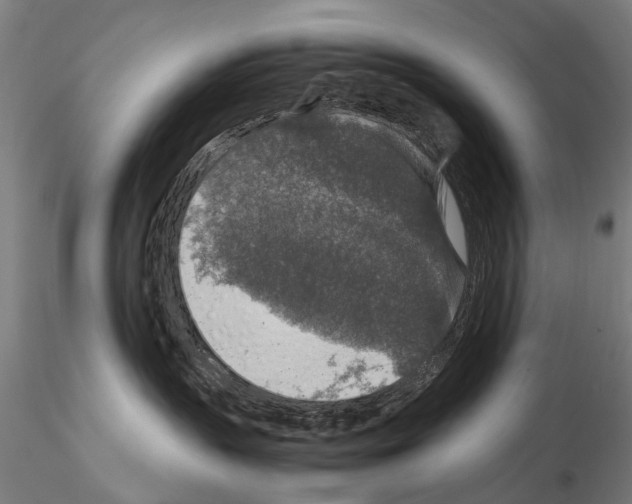 X0000114660383200912011141