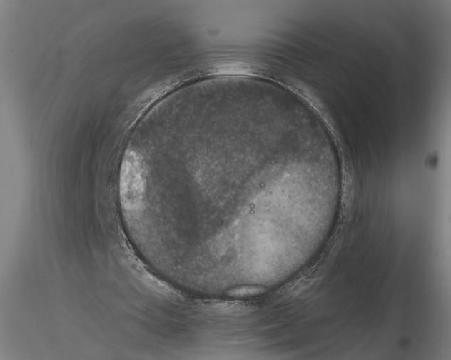 X0000114660385200912011140