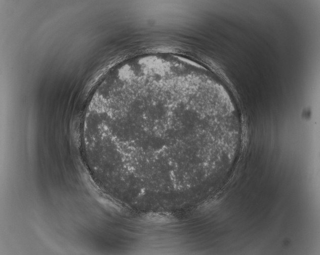 X0000114660386200912011140