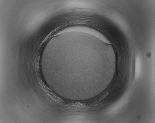 X0000114660387200912011140