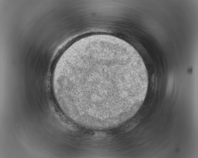 X0000114660388200912011140