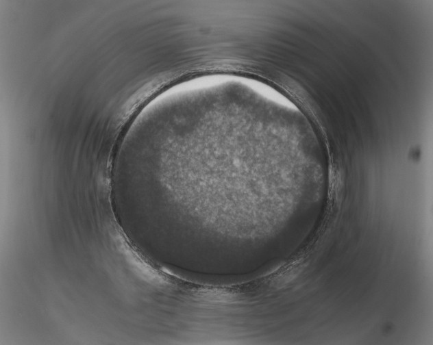 X0000114660389200912011140