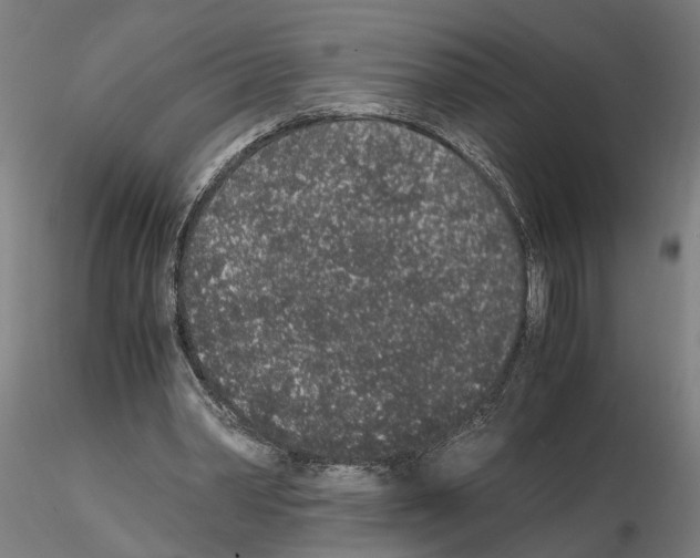 X0000114660390200912011140