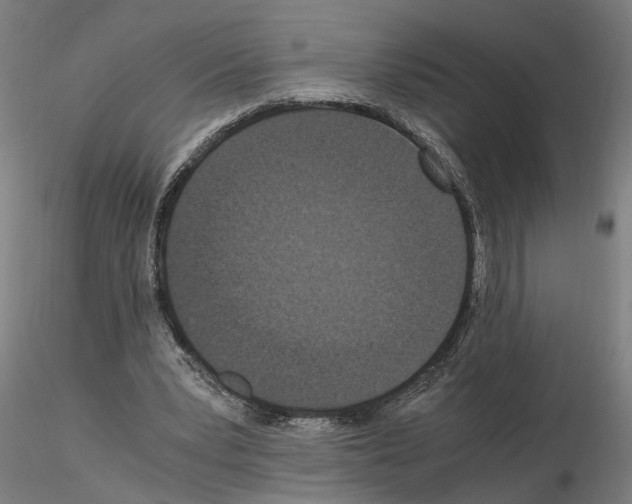 X0000114660391200912011140