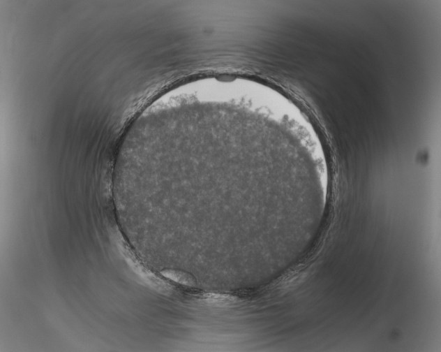 X0000114660393200912011140