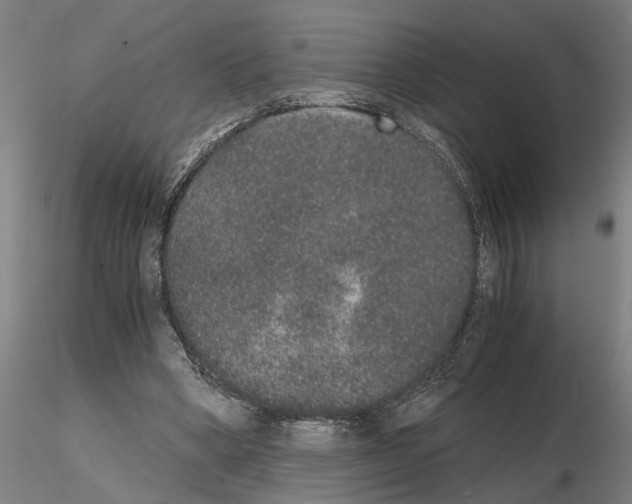 X0000114660394200912011140