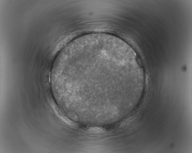 X0000114660397200912011140