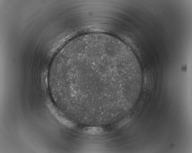 X0000114660398200912011140