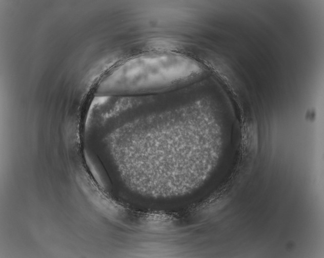 X0000114660399200912011140