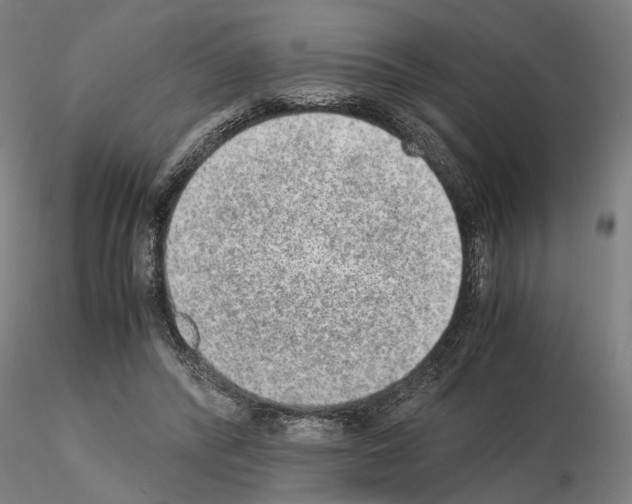 X0000114660400200912011140