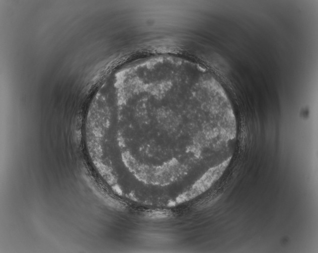 X0000114660402200912011140