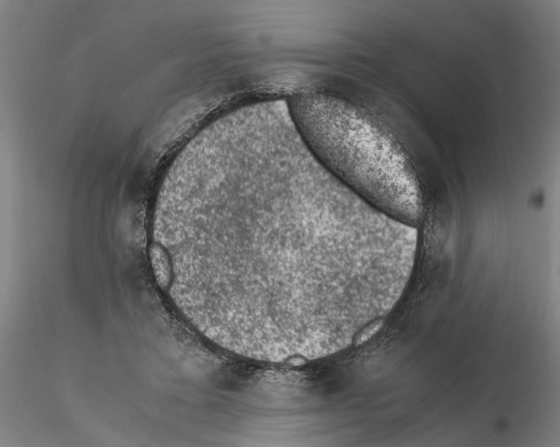 X0000114660403200912011140