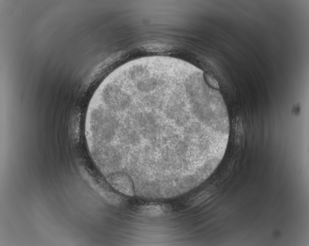 X0000114660404200912011140