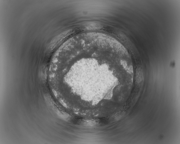 X0000114660405200912011140