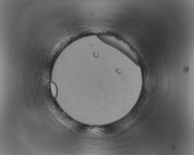 X0000114660407200912011140