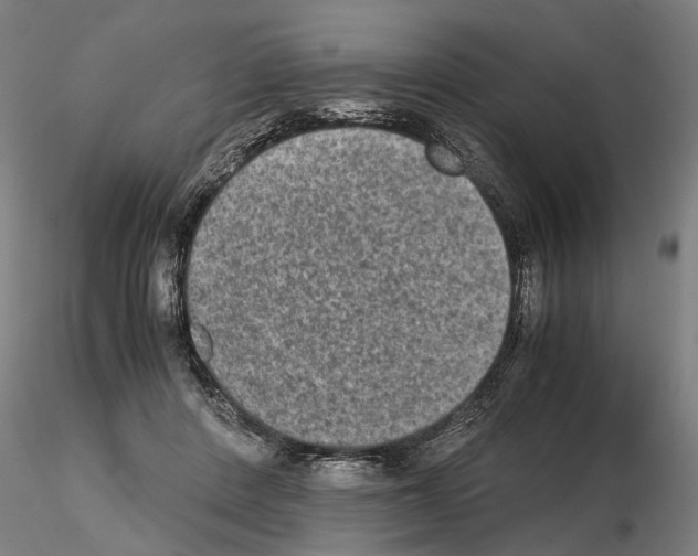 X0000114660408200912011140