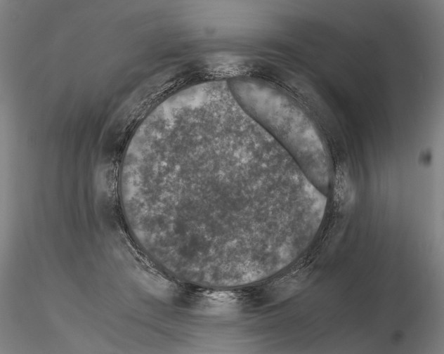 X0000114660409200912011140