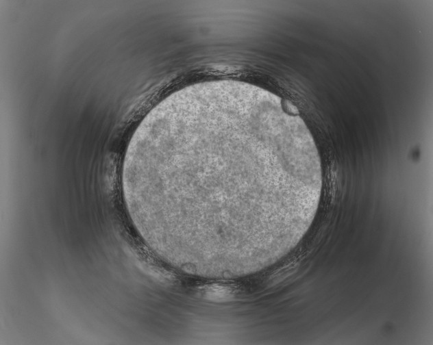 X0000114660412200912011140